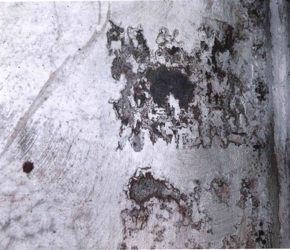 Oil Contamination - example of unacceptable galvanized finish